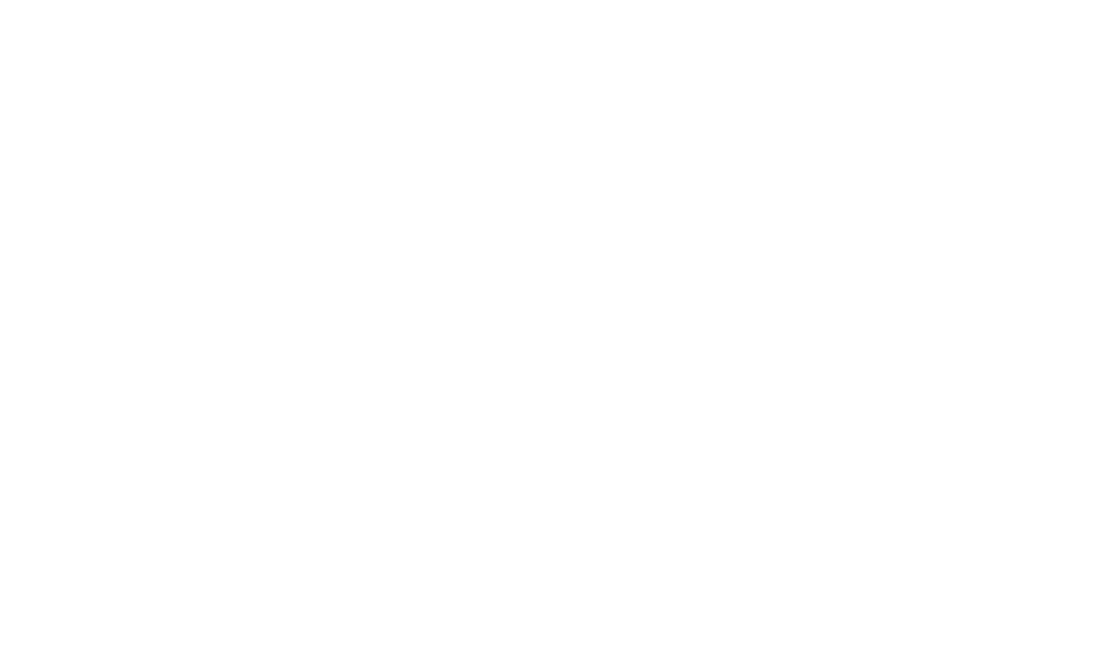 tribe BPO Solutions